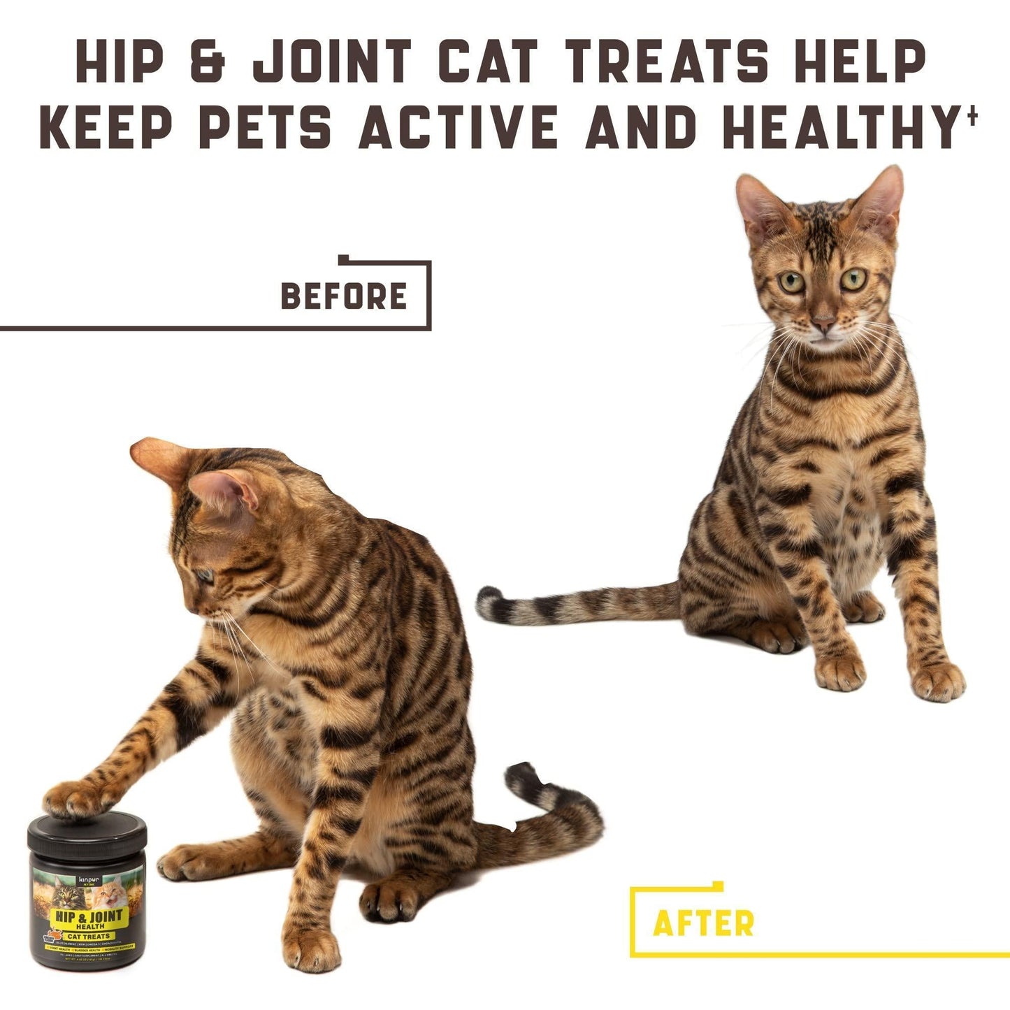 Natural Glucosamine Cat Joint Support Supplement