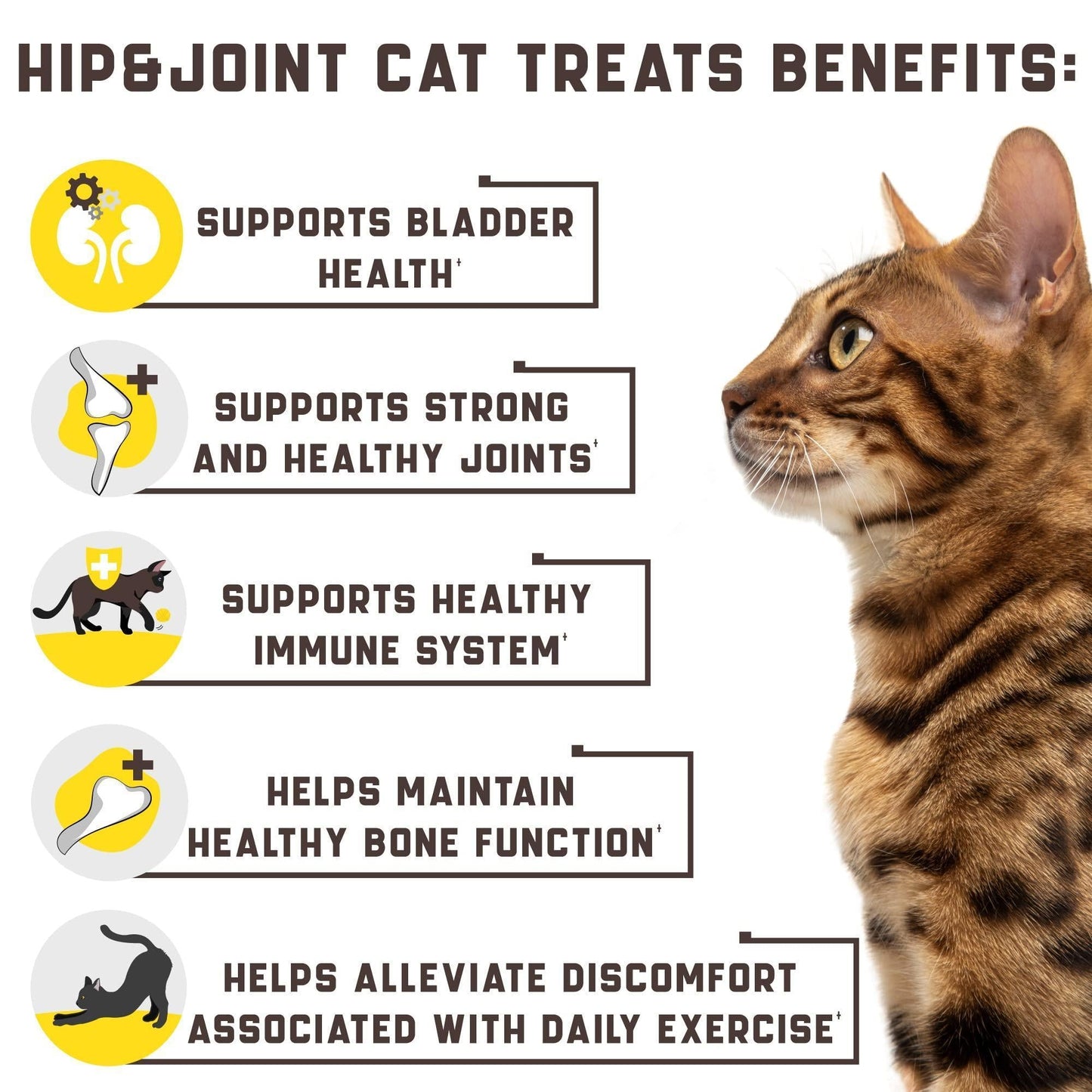 Natural Glucosamine Cat Joint Support Supplement
