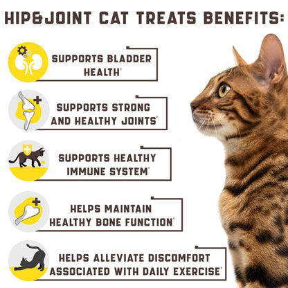Natural Glucosamine Cat Joint Support Supplement